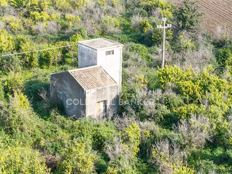 Immagine 5 di Terreno agricolo in vendita  in Via Pietralonga 3 a Mascali