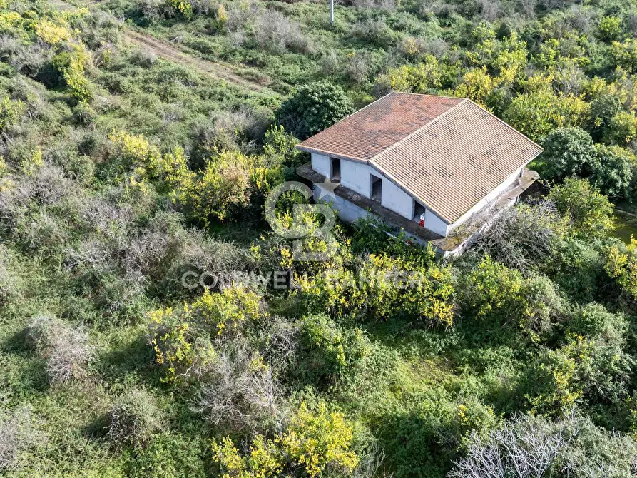 Immagine 10 di Terreno agricolo in vendita  in Via Pietralonga 3 a Mascali