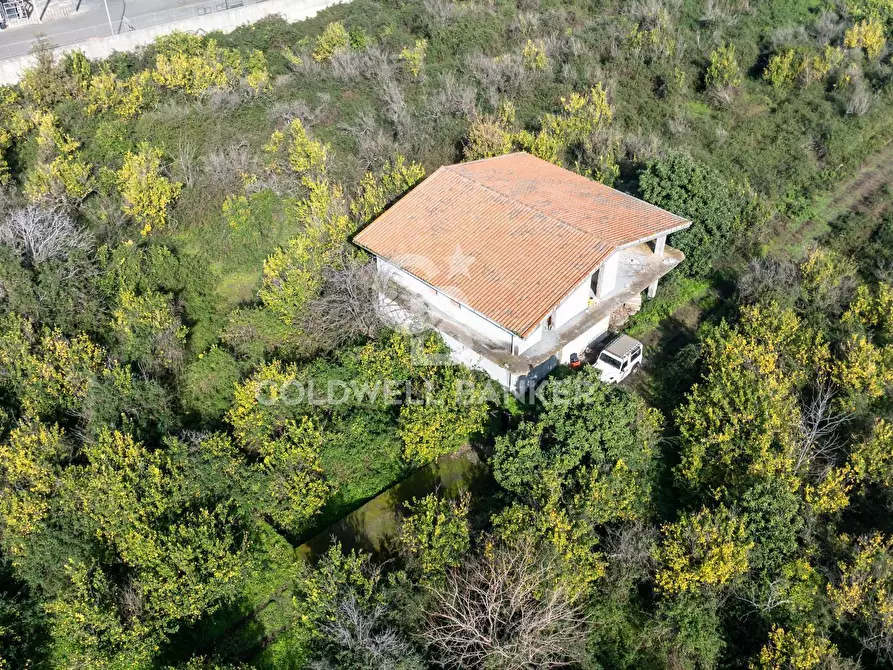 Immagine 7 di Terreno agricolo in vendita  in Via Pietralonga 3 a Mascali