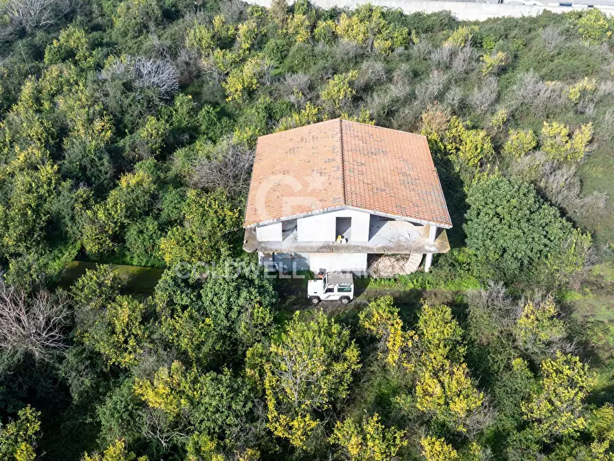 Immagine 11 di Terreno agricolo in vendita  in Via Pietralonga 3 a Mascali