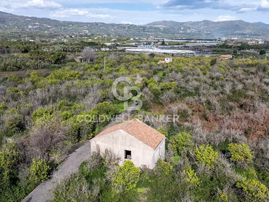 Immagine 3 di Terreno agricolo in vendita  in Via Pietralonga 3 a Mascali
