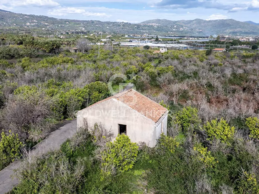 Immagine 20 di Terreno agricolo in vendita  in Via Pietralonga 3 a Mascali