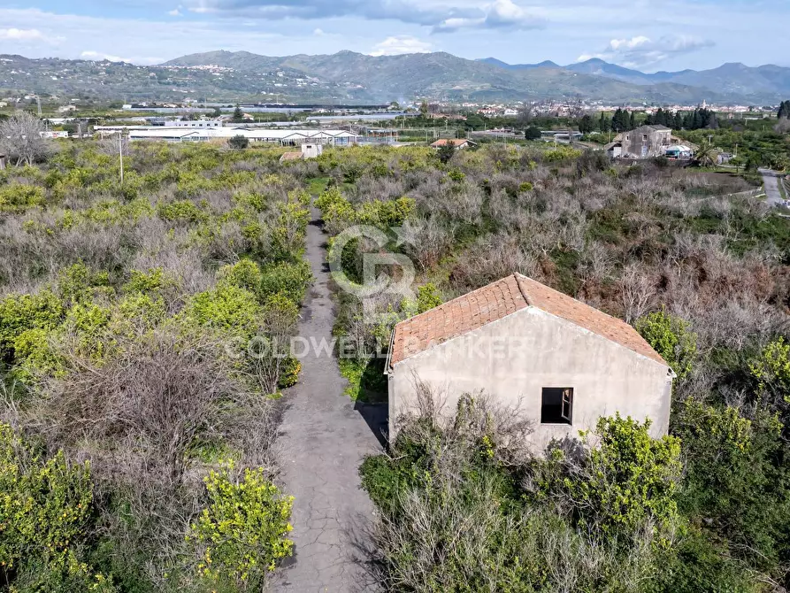Immagine 14 di Terreno agricolo in vendita  in Via Pietralonga 3 a Mascali