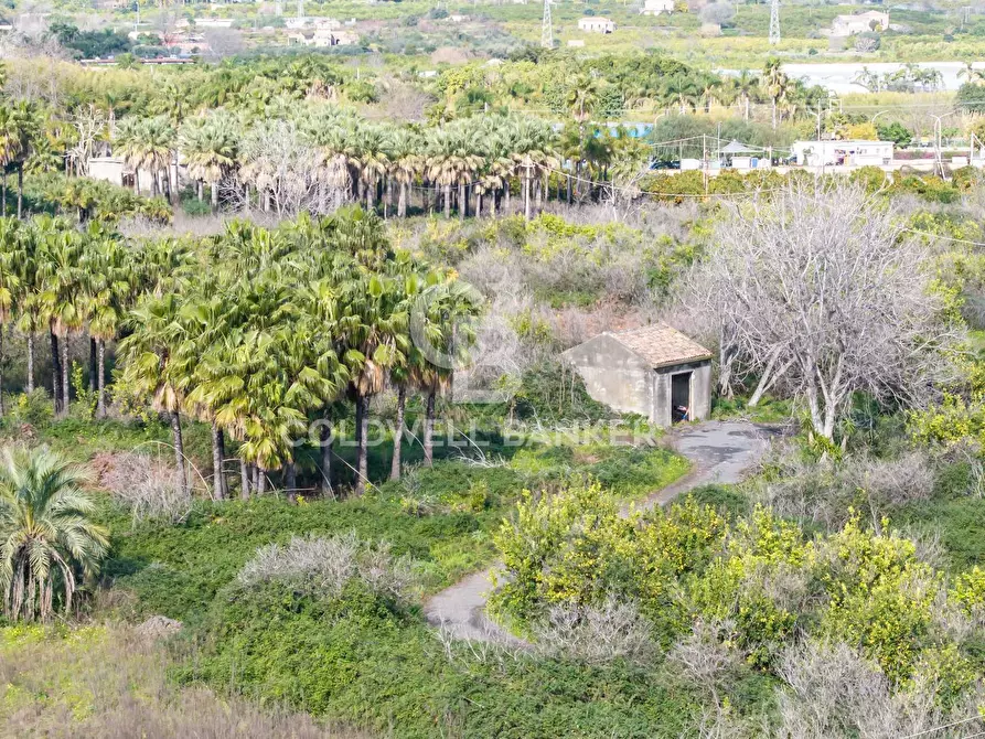 Immagine 22 di Terreno agricolo in vendita  in Via Pietralonga 3 a Mascali