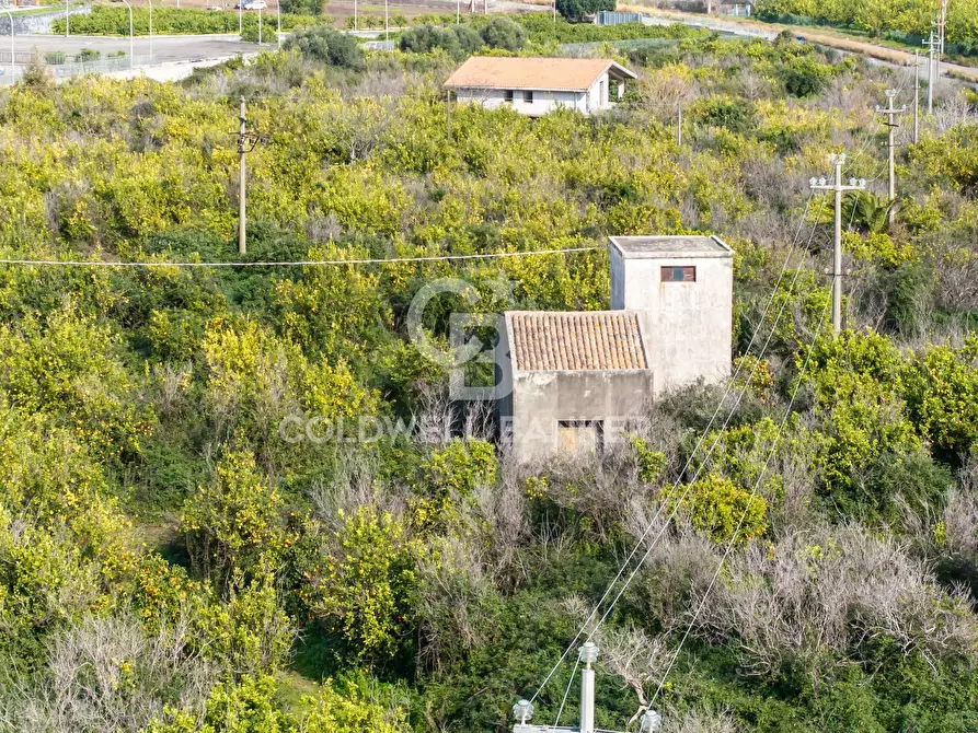 Immagine 18 di Terreno agricolo in vendita  in Via Pietralonga 3 a Mascali