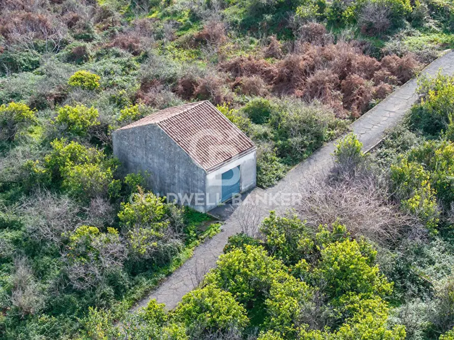 Immagine 21 di Terreno agricolo in vendita  in Via Pietralonga 3 a Mascali