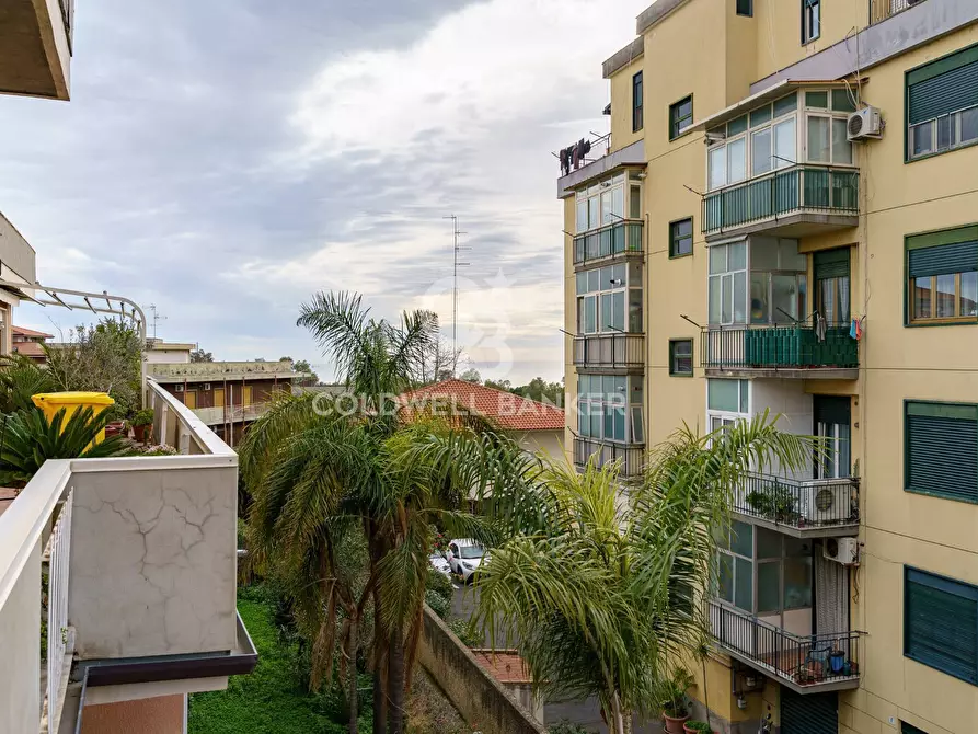 Immagine 22 di Appartamento in affitto  in Via Generale Di San Marzano 1 a Catania