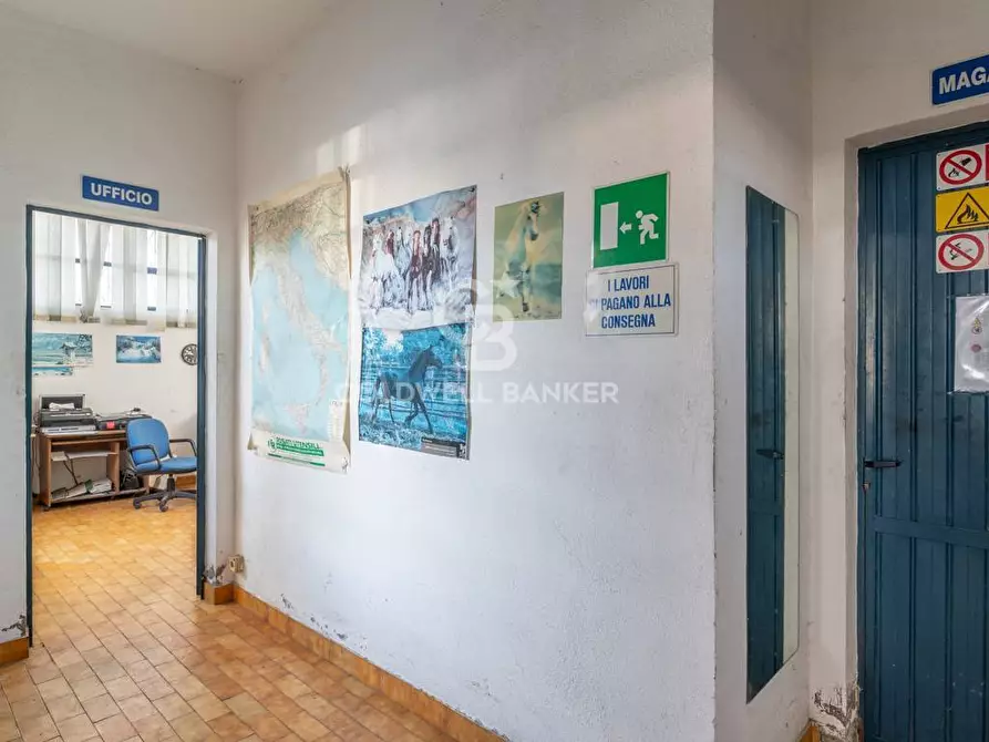 Immagine 10 di Capannone industriale in vendita  in Via Raffaello Sanzio 4 a Tarquinia