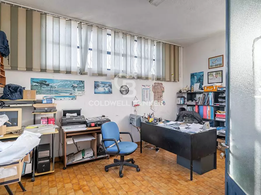 Immagine 11 di Capannone industriale in vendita  in Via Raffaello Sanzio 4 a Tarquinia