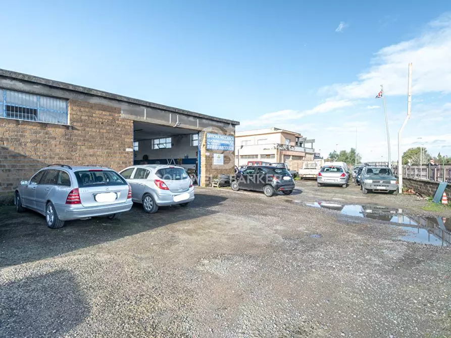 Immagine 13 di Capannone industriale in vendita  in Via Raffaello Sanzio 4 a Tarquinia