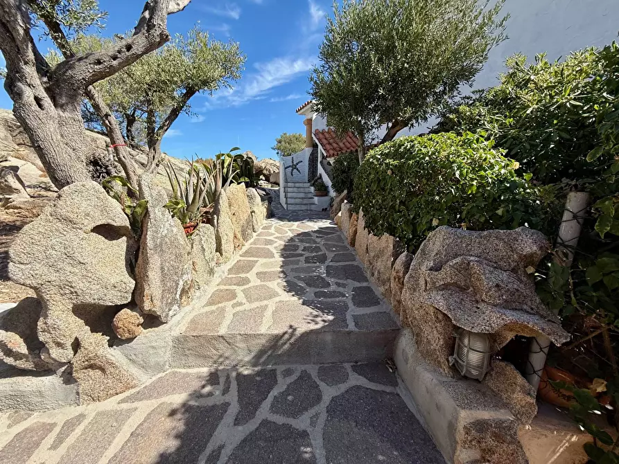 Immagine 19 di Appartamento in vendita  in Porto Rotondo - Via Aldia Manna 9 a Aggius