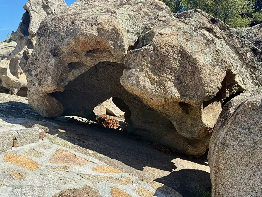 Immagine 26 di Villa in vendita  in Porto Rotondo - Via Aldia Manna 9 a Aggius