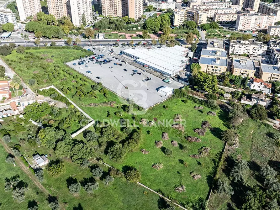 Immagine 2 di Terreno agricolo in vendita  in VIALE MICHELANGELO a Palermo