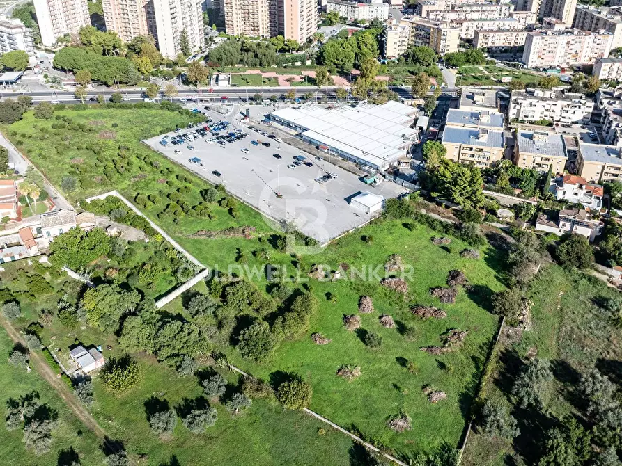Immagine 3 di Terreno agricolo in vendita  in VIALE MICHELANGELO a Palermo