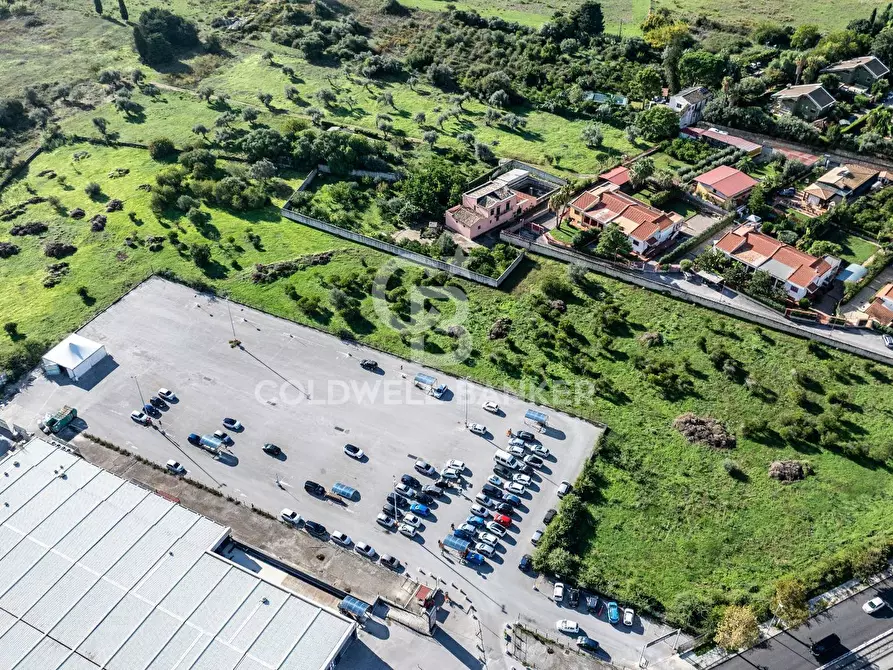 Immagine 7 di Terreno agricolo in vendita  in VIALE MICHELANGELO a Palermo