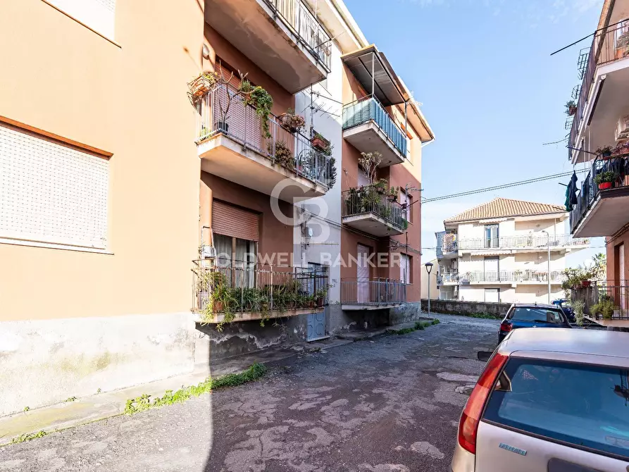 Immagine 20 di Appartamento in vendita  in Via Etnea 263/A a Mascali