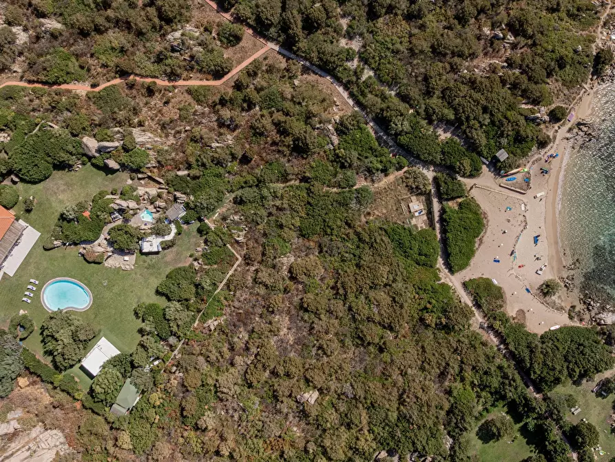 Immagine 4 di Villa in vendita  in Porto Rotondo Marinella Snc a Aggius