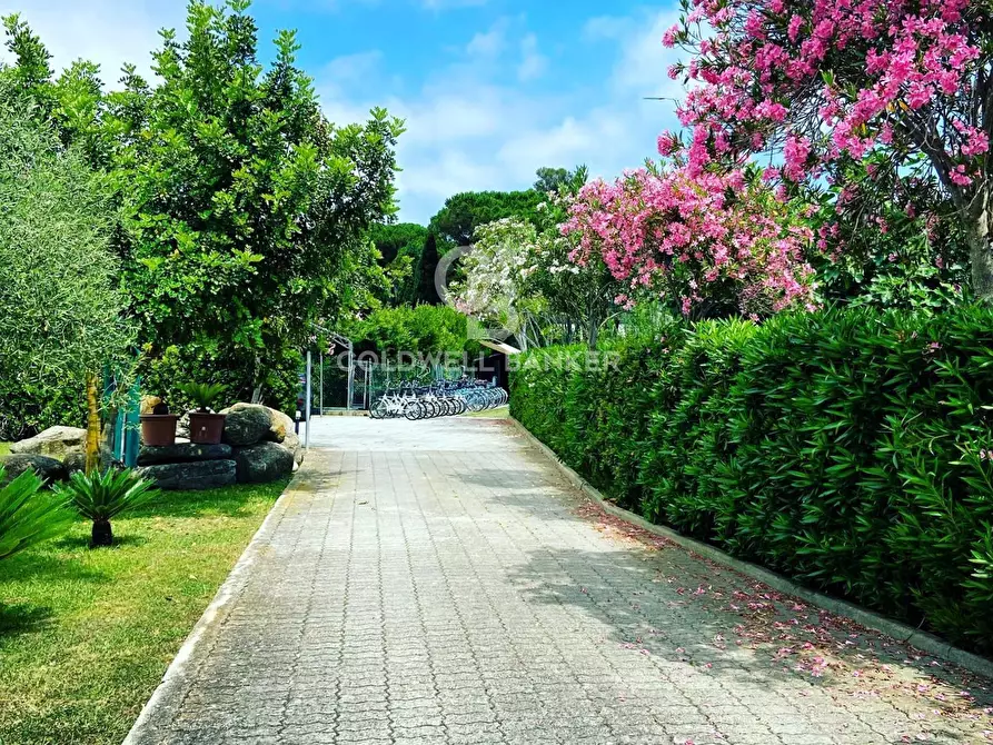 Immagine 4 di Residence in vendita  in Via per Portoferraio a Campo Nell'elba