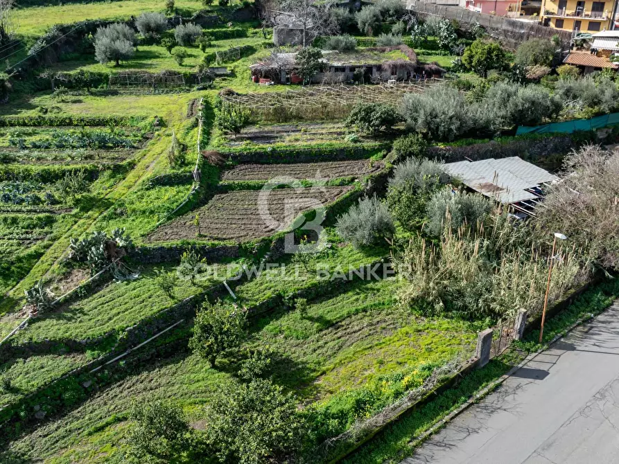 Immagine 4 di Terreno residenziale in vendita  in Viale Kennedy a Mascali