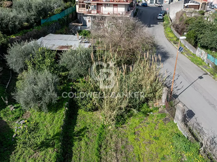 Immagine 5 di Terreno residenziale in vendita  in Viale Kennedy a Mascali
