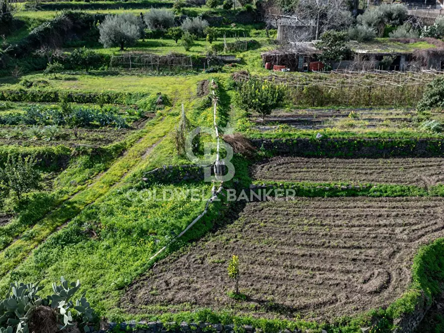 Immagine 6 di Terreno residenziale in vendita  in Viale Kennedy a Mascali