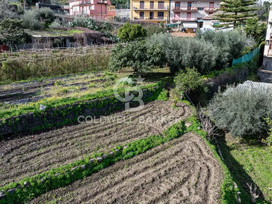 Immagine 7 di Terreno residenziale in vendita  in Viale Kennedy a Mascali