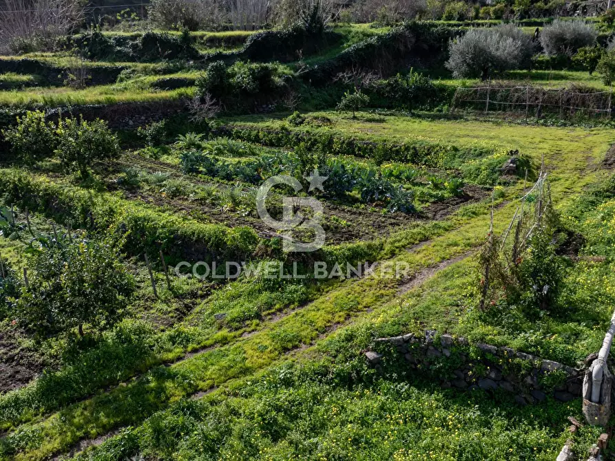 Immagine 8 di Terreno residenziale in vendita  in Viale Kennedy a Mascali