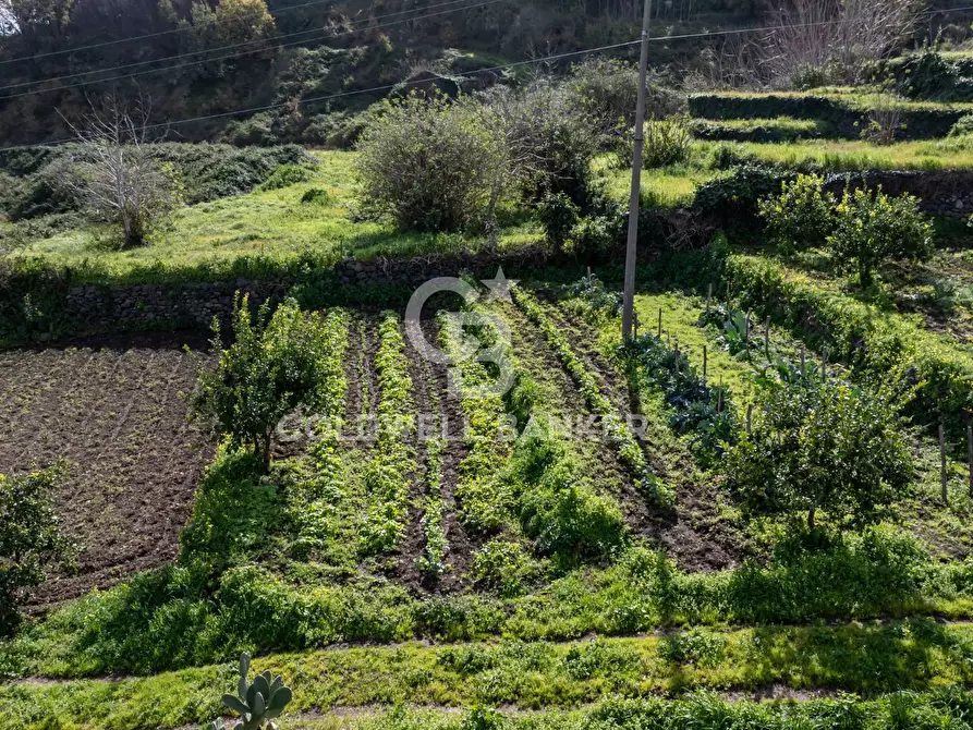 Immagine 9 di Terreno residenziale in vendita  in Viale Kennedy a Mascali