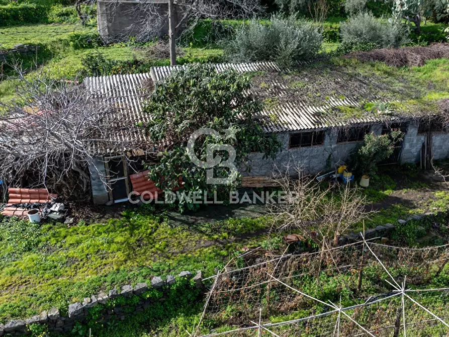 Immagine 11 di Terreno residenziale in vendita  in Viale Kennedy a Mascali