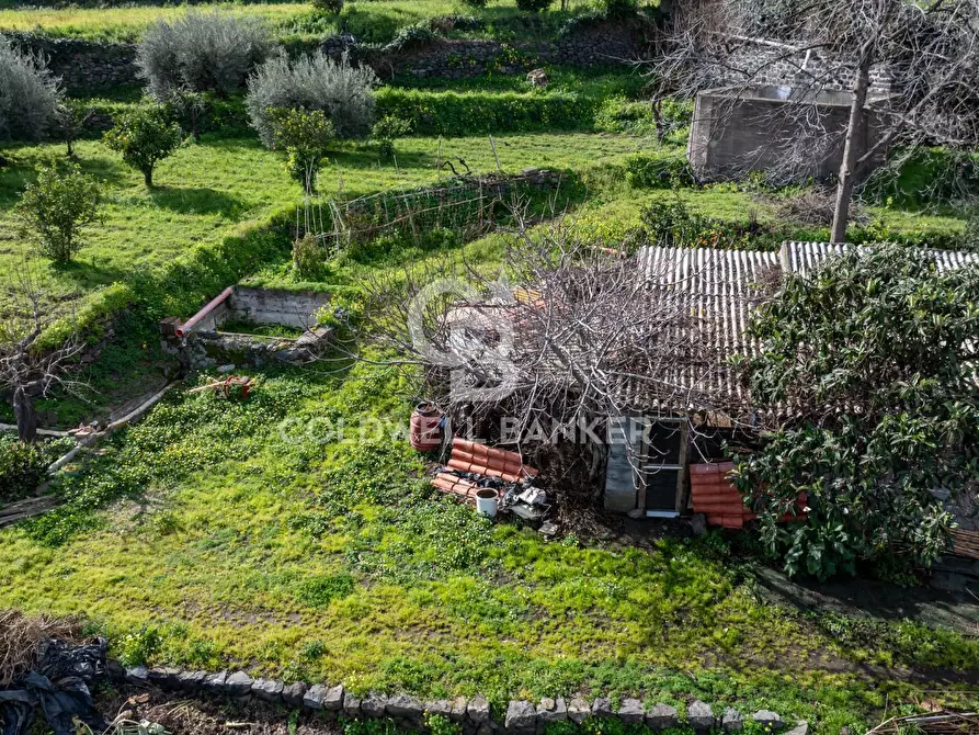 Immagine 12 di Terreno residenziale in vendita  in Viale Kennedy a Mascali