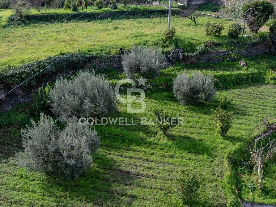 Immagine 16 di Terreno residenziale in vendita  in Viale Kennedy a Mascali