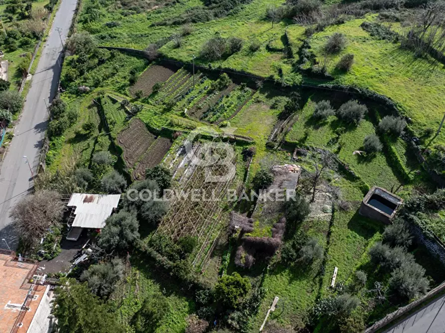 Immagine 17 di Terreno residenziale in vendita  in Viale Kennedy a Mascali