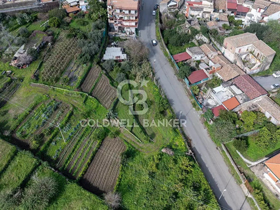 Immagine 20 di Terreno residenziale in vendita  in Viale Kennedy a Mascali