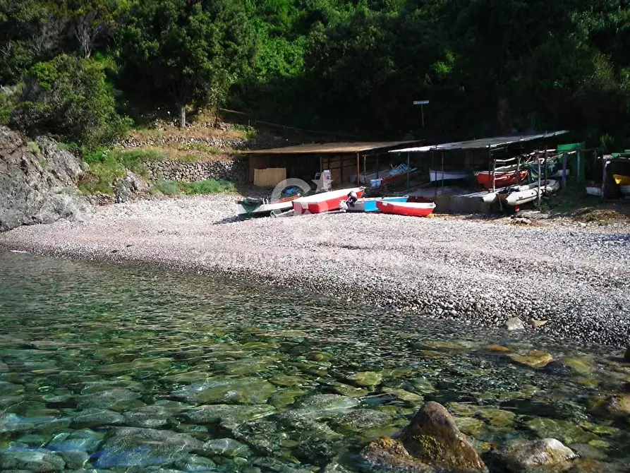 Immagine 40 di Villa in vendita  in Loc. La Cala a Marciana Marina