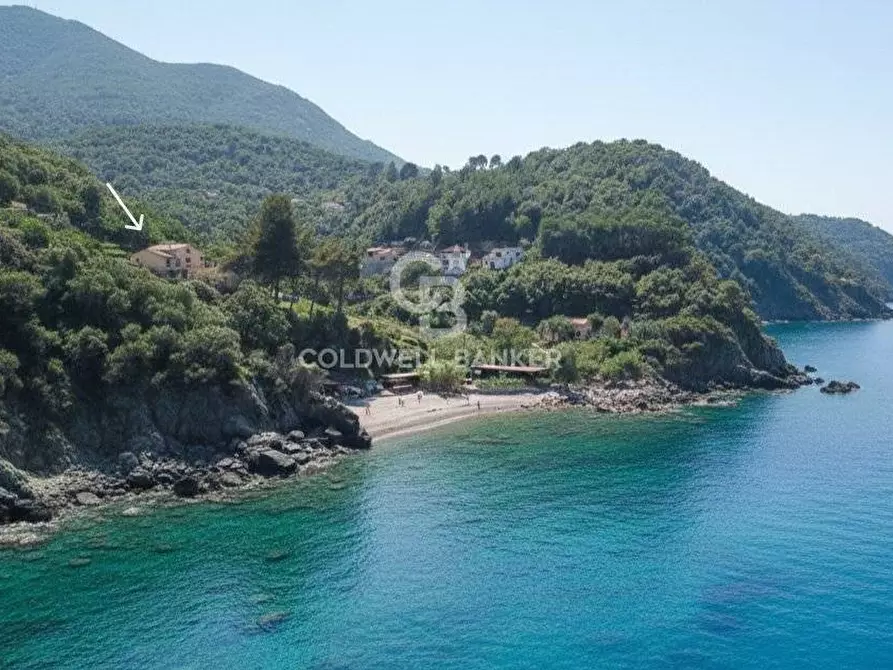 Immagine 42 di Villa in vendita  in Loc. La Cala a Marciana Marina