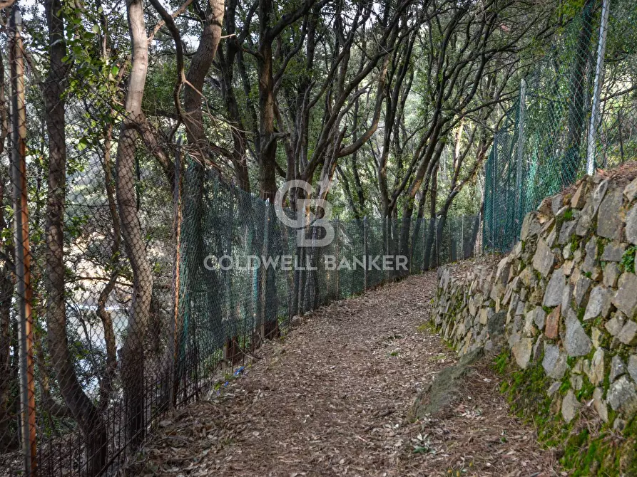 Immagine 34 di Villa in vendita  in Loc. La Cala a Marciana Marina