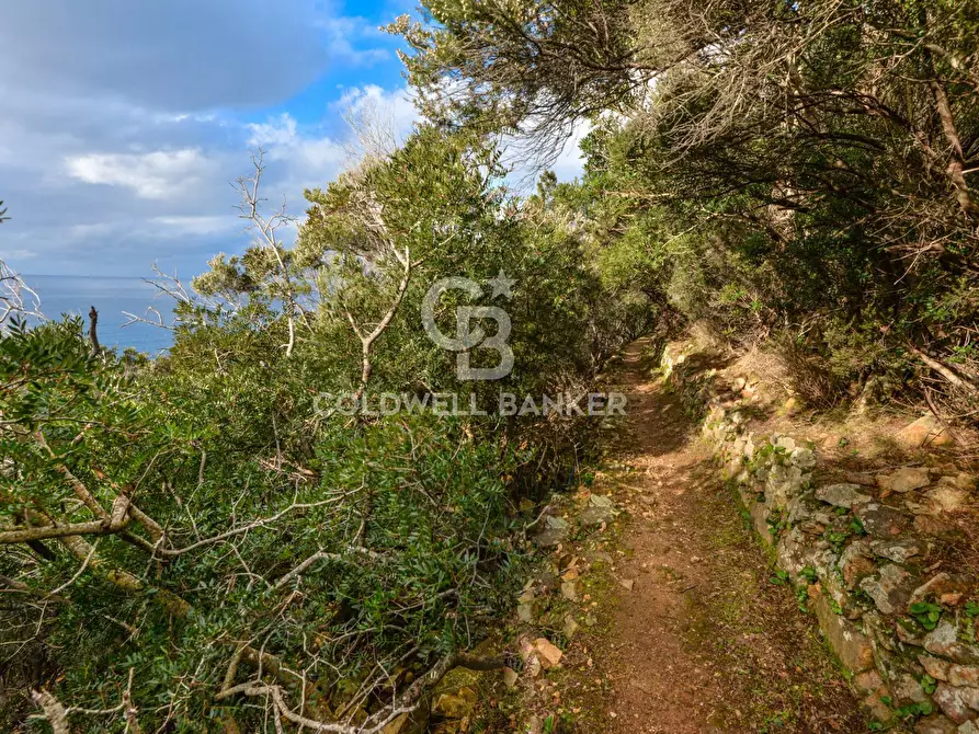 Immagine 3 di Villa in vendita  in Loc. La Cala a Marciana Marina