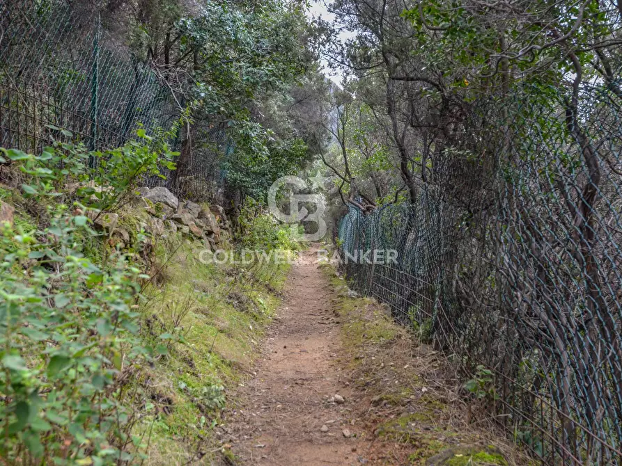 Immagine 36 di Villa in vendita  in Loc. La Cala a Marciana Marina