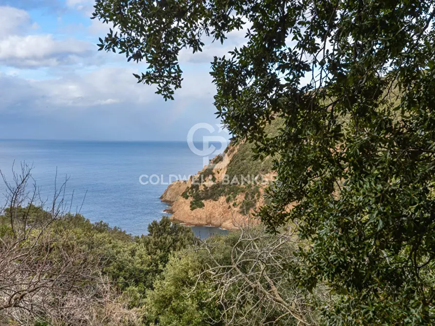 Immagine 37 di Villa in vendita  in Loc. La Cala a Marciana Marina