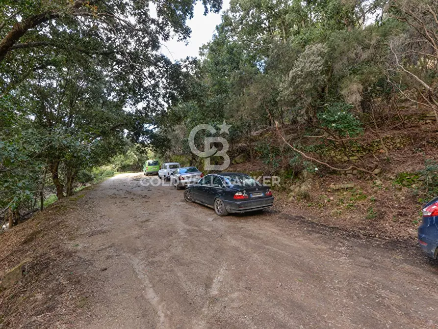 Immagine 38 di Villa in vendita  in Loc. La Cala a Marciana Marina