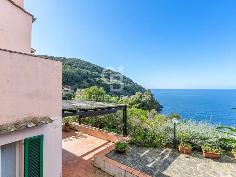 Immagine 4 di Villa in vendita  in Loc. La Cala a Marciana Marina