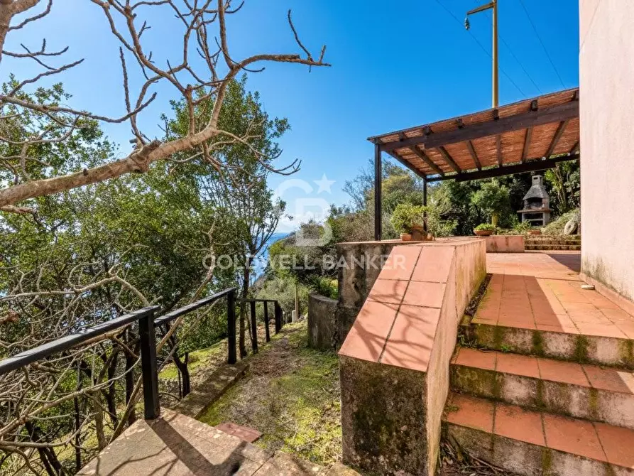 Immagine 5 di Villa in vendita  in Loc. La Cala a Marciana Marina