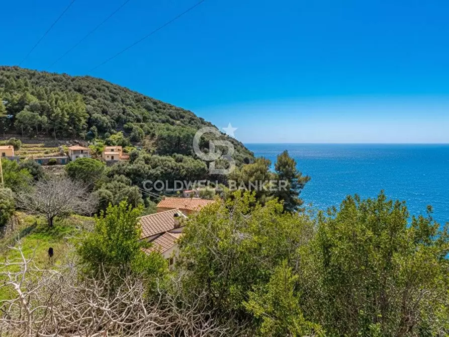 Immagine 29 di Villa in vendita  in Loc. La Cala a Marciana Marina