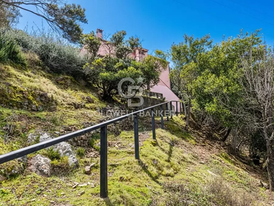 Immagine 26 di Villa in vendita  in Loc. La Cala a Marciana Marina