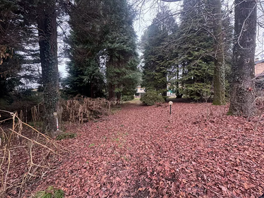 Immagine 11 di Terreno residenziale in vendita  in Via Monte Ameno 17 a Somma Lombardo