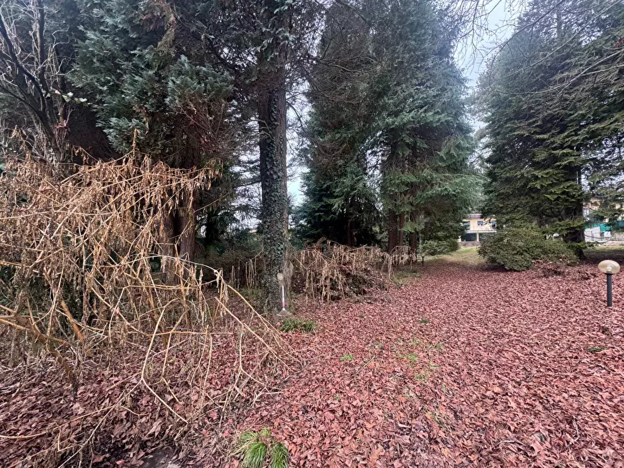 Immagine 13 di Terreno residenziale in vendita  in Via Monte Ameno 17 a Somma Lombardo