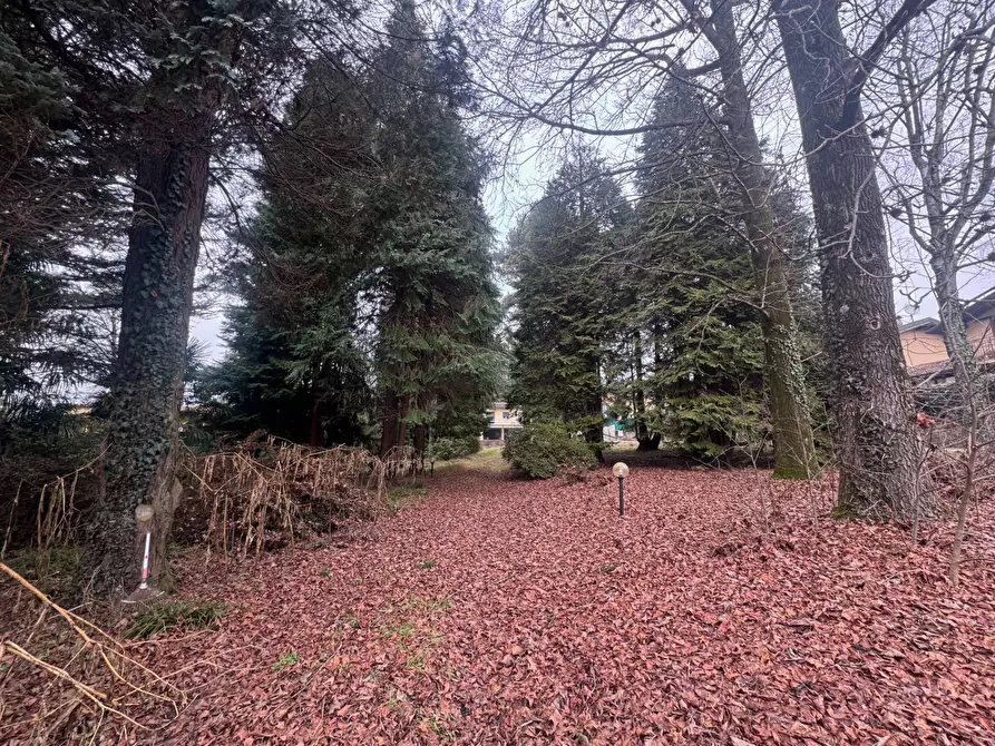 Immagine 14 di Terreno residenziale in vendita  in Via Monte Ameno 17 a Somma Lombardo