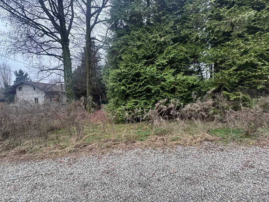 Immagine 16 di Terreno residenziale in vendita  in Via Monte Ameno 17 a Somma Lombardo