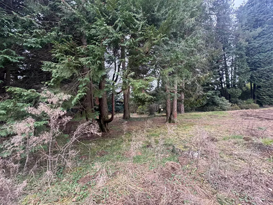 Immagine 19 di Terreno residenziale in vendita  in Via Monte Ameno 17 a Somma Lombardo