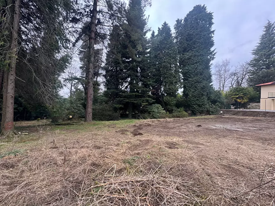 Immagine 21 di Terreno residenziale in vendita  in Via Monte Ameno 17 a Somma Lombardo